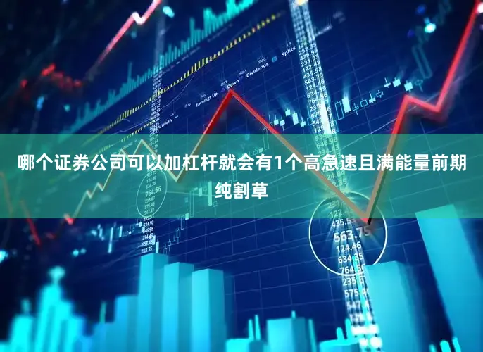 哪个证券公司可以加杠杆就会有1个高急速且满能量前期纯割草