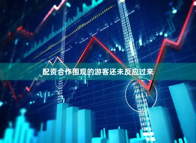 配资合作围观的游客还未反应过来
