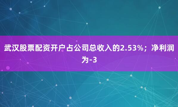 武汉股票配资开户占公司总收入的2.53%；净利润为-3