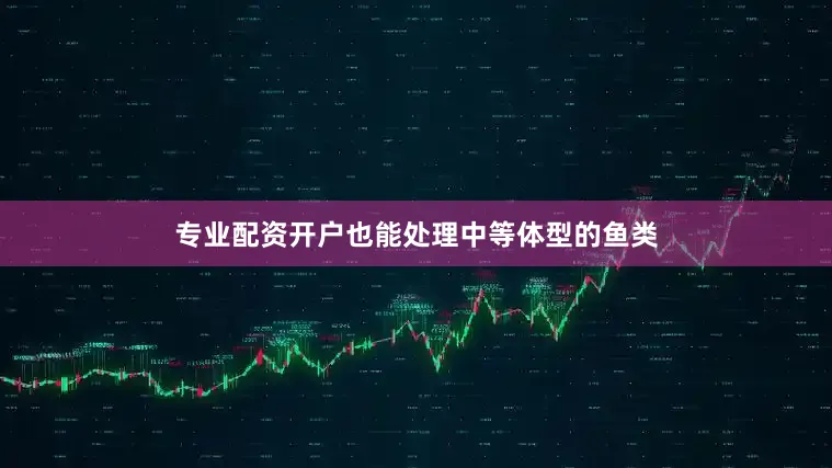 专业配资开户也能处理中等体型的鱼类