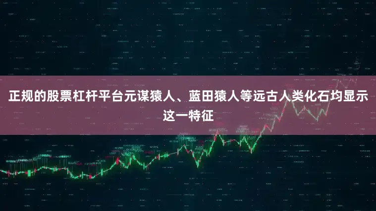 正规的股票杠杆平台元谋猿人、蓝田猿人等远古人类化石均显示这一特征
